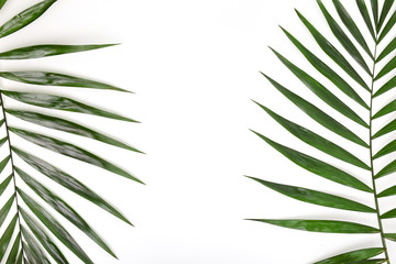 Tropical green palm leafs on white background. Flat lay