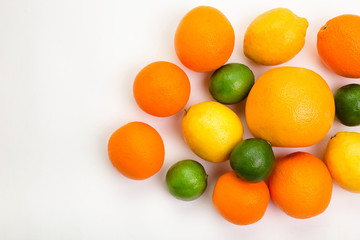 Citrus fruits - orange, lemon, grapefruit, lime, palm leaves on white background.
