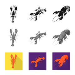 Vector design of appetizer and ocean sign. Collection of appetizer and delicacy stock vector illustration.