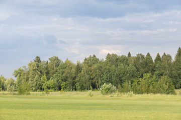 Rural country landscape in the summer afternoon. The well-groomed field from a green grass is accurately mown. At the end of the field the wood. A sky background with clouds