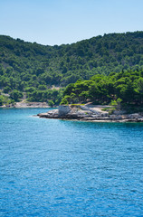 View from the sea of a rocky beach on the green forested island of Vis in summer, travel Croatia