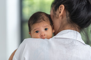 Newborn baby concept, Asian Baby boy