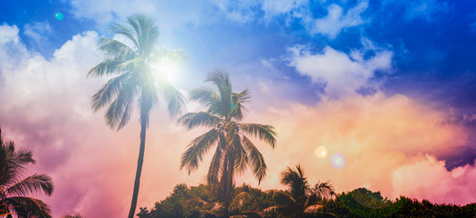 Fototapeta na wymiar Silhouette of coconut palm trees and sun flare on colorful background. 
