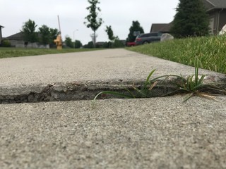 Frost heave crack in residential concrete sidewalk