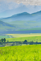 Obraz premium landscape with green fields and mountains
