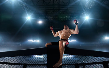 Fototapeta na wymiar MMA fighters on ring. Fighting Championship.