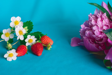 Red strawberries and pink peonies