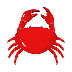 Vector design of crab and seafood icon. Collection of crab and sea vector icon for stock.