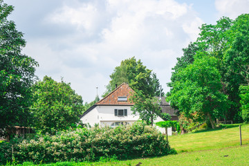 Fototapete bei efototapeten.de bestellen   