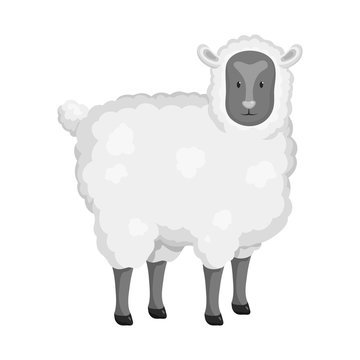 Vector design of sheep and pet sign. Set of sheep and lamb vector icon for stock.
