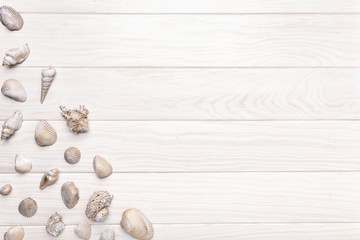 Summer background with white wooden table with many seashell. Copy space