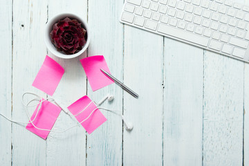 work place with pink post its and succulent plant, top view