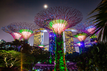 SINGAPORE, SINGAPORE - MARCH 2019: Supertrees illuminated for light show in gardens by the bay