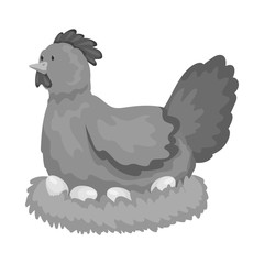 Vector illustration of hen and bird icon. Set of hen and egg stock vector illustration.