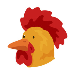 Isolated object of cock and face icon. Collection of cock and husbandry stock symbol for web.