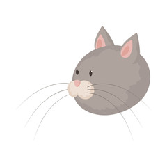 Isolated object of cat and face sign. Collection of cat and pet stock vector illustration.