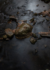 Boulder in Dark Water
