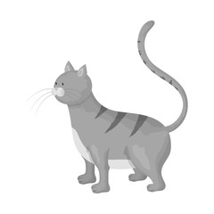 Vector design of cat and kitten symbol. Collection of cat and animal stock symbol for web.