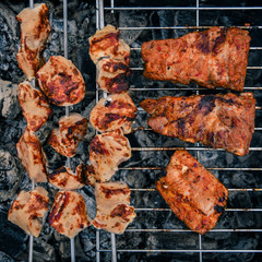 Juicy Pork steak, ribs and chicken meat on bbq grill, homemade barbecue, closeup.