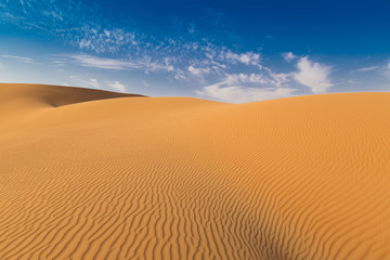 UAE. Desert  landscape