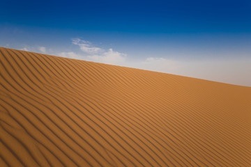 UAE. Desert  landscape