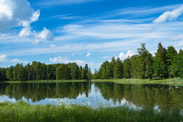 Fototapeta premium Summer minimalistic panoramic landscape with a lake in the park