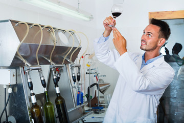 Portrait of male winery worker with bottling machinery on factory