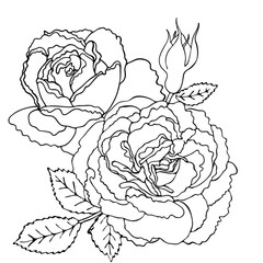 Floral coloring template with black line flower