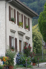 Fototapeta na wymiar Historische Häuser in der Altstadt von Bregenz am Bodensee