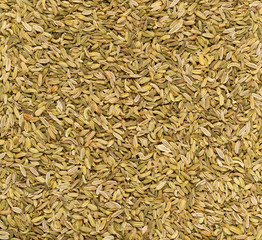 Dried fennel seeds frame filling flat lay top view texture background