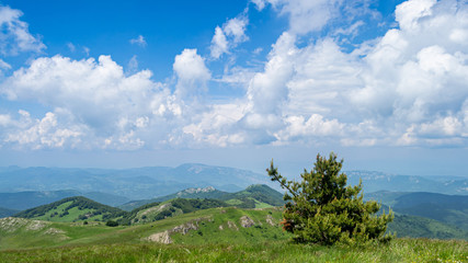 A veiw from the Ruy Mountain