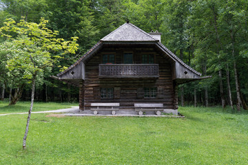 old wooden house in the forest
