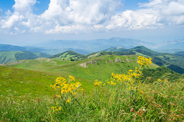 Green mountain, blue sky and yellow flowers