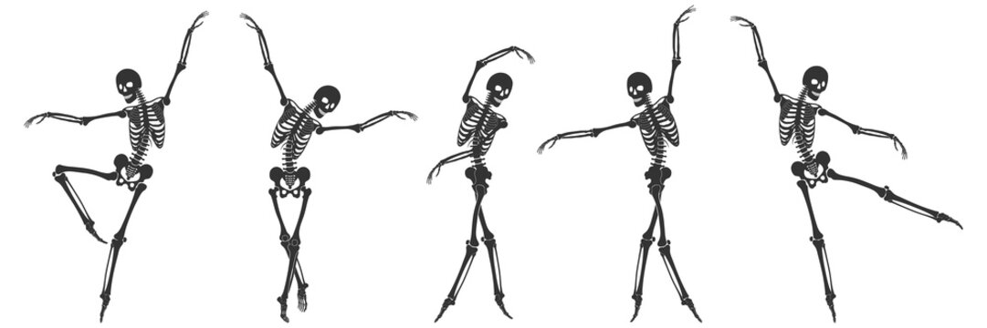 Ballet. Five black silhouettes of skeletons isolated on a white background. Vector illustration Stock Vector | Adobe Stock