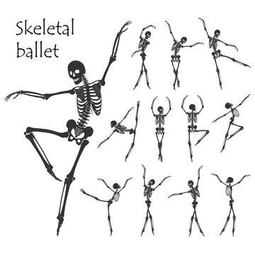 Ballet. Set of dancing black skeletons silhouettes isolated on white background. Vector illustration