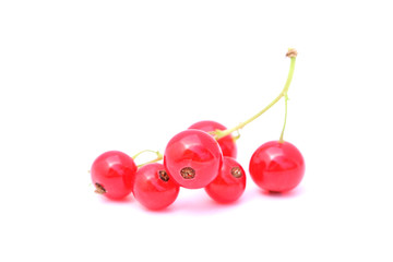 Red currant isolated on white background