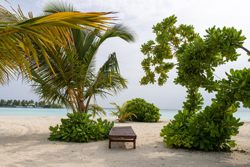 Fototapeta premium Chaise lounge with ocean landscape and trees