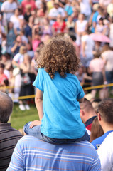 Fototapeta premium Crowd of people at the concert
