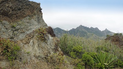 Fototapeta premium exotic landscape in anaga mountains