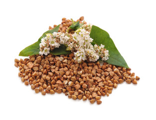 Blossom of buckwheat with leaves.