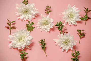 Fototapeten White chrysanthemum on a pink retro background. toned photo. floral background © Sergey