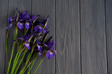 Background for a banner with a bouquet of irises on a black wooden background. The basis for the...