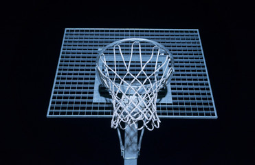 shield with a basketball
