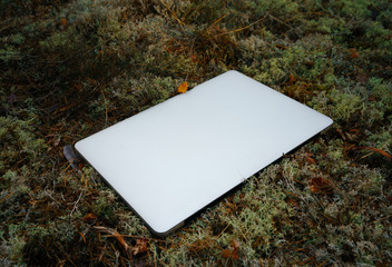 laptop lie on ground moss tourist left in forest
