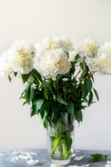 Obraz na płótnie Canvas Bunch of amazing peonies in the vase on white wall background