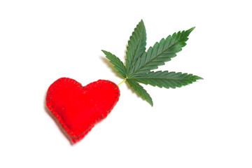 Marijuana leaf, hemp with red heart isolated on white background.