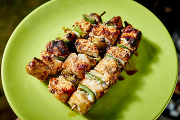 Juicy grilled chicken skewers on green plate on summer day