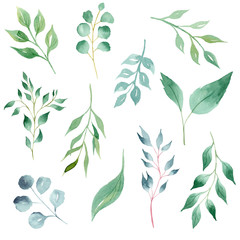 Tree leaves hand drawn watercolor illustration set