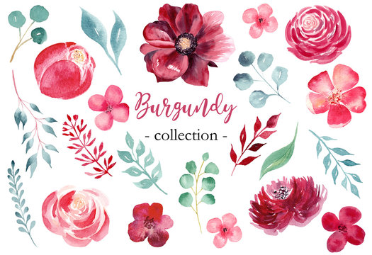 Burgundy flowers hand drawn watercolor raster illustrations set