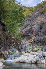 Amazing autumn color palette of the trees in a narrow canyon with mountain creek cascades